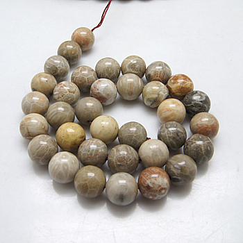Natural Fossil Coral Beads Strands, Round, 8mm, Hole: 1mm, about 48pcs/strand, 15.5 inch