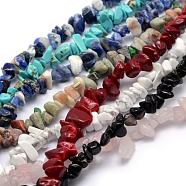 Natural Mixed Gemstone Beads Strands, Chips, Mixed Dyed and Undyed, 5~8mm, Hole: 1mm, about 33 inch(84cm)(G-K220-01)