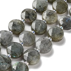 Natural Labradorite Beads Strands, with Seed Beads, Faceted Hexagonal Cut, Flat Round, 12~12.5x5~6mm, Hole: 1.2~1.4mm, about 27~29pcs/strand, 15.55~15.75 inck(39.5~40cm)(G-NH0004-001)