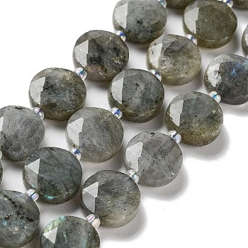 Natural Labradorite Beads Strands, with Seed Beads, Faceted Hexagonal Cut, Flat Round, 12~12.5x5~6mm, Hole: 1.2~1.4mm, about 27~29pcs/strand, 15.55~15.75 inck(39.5~40cm)