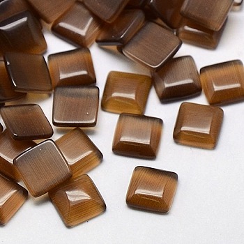Cat Eye Cabochons, Square, Saddle Brown, 10x10x2.5mm