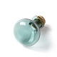 Miniature Glass Bottles(GLAA-H019-03H)-2