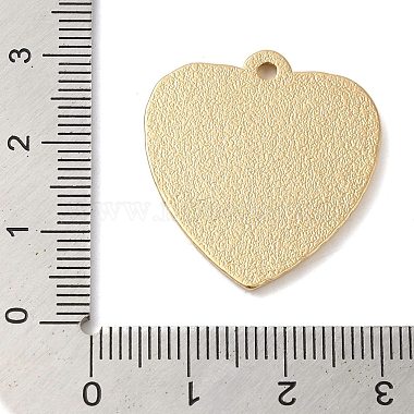 Zinc Alloy Enamel Pendants(ENAM-Z013-01B-01)-3