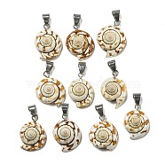 Natural Shiva Eye Shell Pendants, Shell Shape Charms with Alloy Snap on Bails, Platinum, 32~34.5x22.5~26x14.5~17mm, Hole: 6.5x9.5mm(BSHE-G039-05)