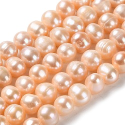 Natural Cultured Freshwater Pearl Beads Strands, Potato, Grade 2A+, Sandy Brown, 8~9x7~8mm, Hole: 0.6mm, about 46~47pcs/strand, 13.58~13.98 inch(34.5~35.5cm)(PEAR-E018-31)