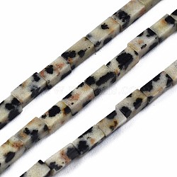 Natural Dalmatian Jasper Beads Strands, Cuboid, 4~5x2x2mm, Hole: 0.8mm, about 82~84pcs/strand, 14.76~15.15 inch(37.5~38.5cm)(G-S299-149)