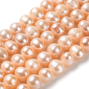 Natural Cultured Freshwater Pearl Beads Strands, Potato, Grade 2A+, Sandy Brown, 8~9x7~8mm, Hole: 0.6mm, about 46~47pcs/strand, 13.58~13.98 inch(34.5~35.5cm)