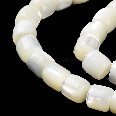 Natural Trochus Shell Beads Strands(BSHE-E030-05B)-4