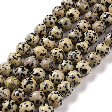 Natural Dalmatian Jasper Beads Strands(G-Q462-10mm-30)-2