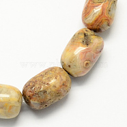 Barrel Shaped Gemstone Natural Crazy Lace Agate Beads Strands, Peru, 15x10mm, Hole: 1mm, about 25pcs/strand, 15.3 inch(G-S114-08)