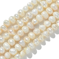 Natural Cultured Freshwater Pearl Beads Strands, Potato, Seashell Color, 4.5~6.5x4~6.5mm, Hole: 0.6mm, about 60~73pcs/strand, 12.36~13.66 inch(31.4~34.7cm)(PEAR-N013-05H)