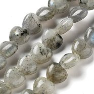 Natural Labradorite Beads Strands, Heart, 10x10x4.5~5mm, Hole: 0.7mm, about 20pcs/strand, 7.28''~7.48''(18.5~19cm)(G-P528-C05-01)