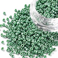 Glass Seed Beads, Opaque Colors Lustered, Round, Medium Sea Green, 3mm, Hole: 1mm, about 10000pcs/pound(SEED-A012-3mm-127)