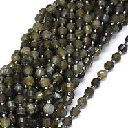 Natural Larvikite Beads Strands, with Seed Beads, Faceted, Bicone, Double Terminated Point Prism Beads, 5~7x6mm, Hole: 0.8mm, about 48pcs/strand, 15.55 inch(39.5cm)(G-O201B-27)