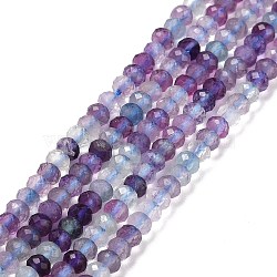 Natural Fluorite Beads Strands, Faceted, Rondelle, 3x2mm, Hole: 0.5mm, about 175pcs/strand, 15.16 inch(38.5cm)(X-G-E194-09)