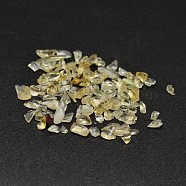 Natural Citrine Chip Beads, No Hole/Undrilled, 2~8x2~4mm, about 340pcs/20g(X-G-O103-09)