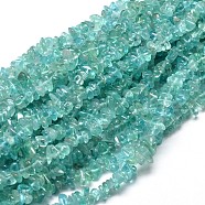 Natural Apatite Chip Beads Strands, 5~14x4~10mm, Hole: 1mm, about 15.5 inch~16.1 inch(X-G-E271-80)