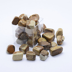 Natural Picture Jasper Beads, Tumbled Stone, Half Drilled, Nuggets, 11~18x14~21x11~16mm(G-H1462-07)