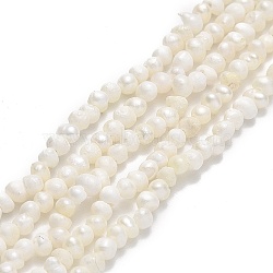 Natural Cultured Freshwater Pearl Beads Strands, Potato, Beige, 2~3x2.5~3.5x2.5~3.5mm, Hole: 0.5mm, about 139~140pcs/strand, 13.78 inch(35cm)(PEAR-F018-12)