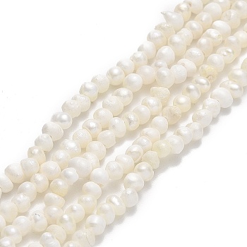 Natural Cultured Freshwater Pearl Beads Strands, Potato, Beige, 2~3x2.5~3.5x2.5~3.5mm, Hole: 0.5mm, about 139~140pcs/strand, 13.78 inch(35cm)