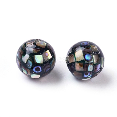 Natural Abalone Shell Beads(SSHEL-E437-1)-3