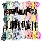 6-Ply Polyester Embroidery Floss, Cross Stitch Threads, Segment Dyed Gradient Color/Christmas/Autumn Color Series, Mixed Color, 0.5mm, about 8.75 Yards(8m)/skein, 12 skeins(OCOR-WH20074-01A-01)