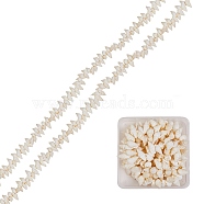 Natural Spiral Shell Beads Strands, White, 18~22x8~12x8~9mm, Hole: 1mm, 15.75 inch(40cm), 2strands/box(BSHE-SZ0001-01)