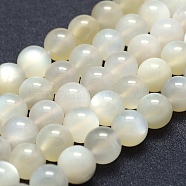 Natural White Moonstone Beads Strands, Grade AB+, Round, 12mm, Hole: 1mm, about 33pcs/strand, 15.1 inch(38.5cm)(G-P342-02A-12mm-AB)