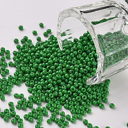 11/0 Grade A Baking Paint Glass Seed Beads, Round, Medium Sea Green, 2.3x1.5mm, Hole: 1mm, about 5300pcs/50g(X-SEED-N001-A-1028)