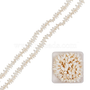 White Shell Spiral Shell Beads