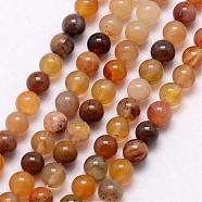 Natural Petrified Wood Bead Strands, Round, 3~3.5mm, Hole: 0.7mm, about 115~125pcs/strand, 16 inch(G-K146-42-3mm)