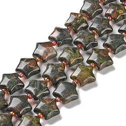 Natural Dragon Blood Jasper Beads Strands, with Seed Beads, Star, 14~15.5x15~16x6.5~7mm, Hole: 1mm, about 24~25pcs/strand, 15.55''~15.95''(39.5~40.5cm)(G-NH0005-011A)