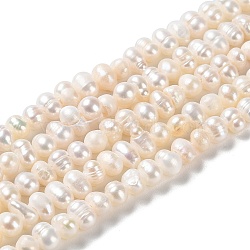 Natural Cultured Freshwater Pearl Beads Strands, Potato, Grade A, PapayaWhip, 4~6x3.8~4.2mm, Hole: 0.5mm, about 90pcs/strand, 13.31 inch(33.8cm)(PEAR-E018-45)