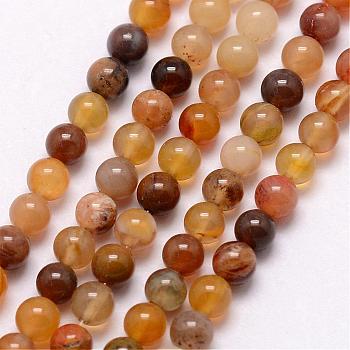 Natural Petrified Wood Bead Strands, Round, 3~3.5mm, Hole: 0.7mm, about 115~125pcs/strand, 16 inch