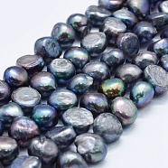 Natural Cultured Freshwater Pearl Beads Strands, Dyed, Two Sides Polished, Midnight Blue, 10~13x11~12x6~9mm, Hole: 0.2mm, about 34pcs/strand, 14.1 inch~14.7  inch(PEAR-K004-04A)