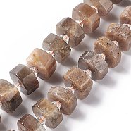 Natural Sunstone Beads Strands, Faceted, Flat Round, 14x14x5~8.5mm, Hole: 1.8mm, about 30pcs/strand, 14.76 inch(37.5cm)(G-C008-B01)