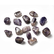 Natural Amethyst Beads, No Hole, Nuggets, Tumbled Stone, Healing Stones for 7 Chakras Balancing, Crystal Therapy, Meditation, Reiki, Vase Filler Gems, 16~33x16~33x10~25mm(G-F718-04)