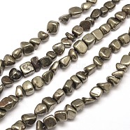 Natural Pyrite Nuggets Beads Strands, Tumbled Stone, 8~10x6~8mm, Hole: 1mm, about 15.7 inch(X-G-I125-82)
