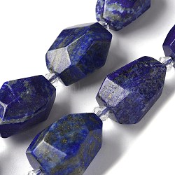 Natural Lapis Lazuli Beads Strands, Faceted, Nuggets, 16.5~27.5x9.5~21.5x9.5~21.5mm, Hole: 2mm, about 12~15pcs/strand, 15.16~15.75''(38.5~40cm)(G-H095-A09-01)