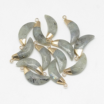 Natural Labradorite Pendants, Faceted, Moon, with Golden Tone Brass Findings, 26~28x10~11x5~6mm, Hole: 1~2mm
