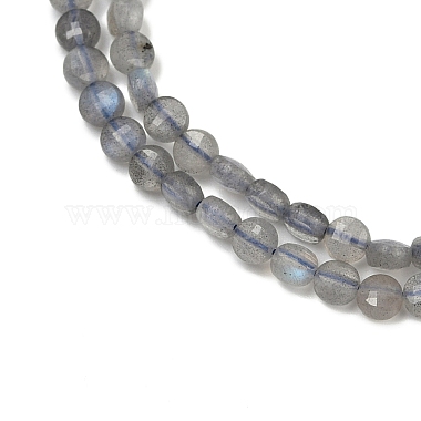 Natural Labradorite Beads Strands(G-R462-008-01)-3