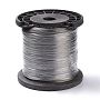 0.25mm Stainless Steel Wire(TWIR-XCP0001-09)
