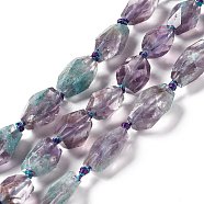 Natural Amethyst Beads Strands, Dyed, Faceted, Polygon, 15~24x11.5~12x10~13mm, Hole: 1.6mm, about 16~24pcs/strand, 16.54~17.13 inch(42~43.5cm)(G-F719-20)