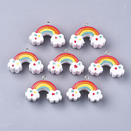 Resin Pendants, with Platinum Tone Iron Findings, Rainbow, Colorful, 27~28x37~39x15mm, Hole: 2.5mm(X-RESI-T028-18)
