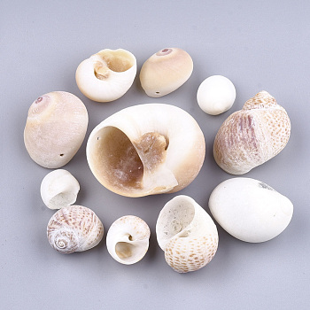Conch Shell Pendants, Navajo White, 19~45x15~46x10~30mm, Hole: 1.5mm