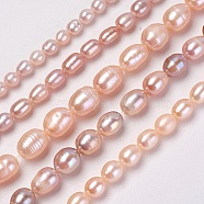 Natural Cultured Freshwater Pearl Beads Strands, Rice, PeachPuff, 4~11x4~11mm, Hole: 0.5~1mm, about 32~108pcs/strand, 14.1 inch~14.7 inch(36~37.5cm)(PEAR-L021-20-01A)