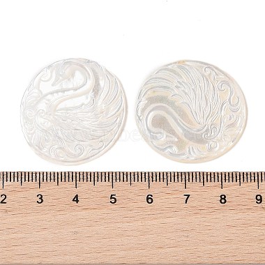 Natural White Shell Cabochons(SSHEL-C012-10)-3