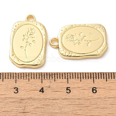 pendentifs en alliage(PALLOY-P303-22G)-3