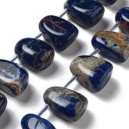 Natural Sodalite Beads Strands, Teardrop, Top Drilled, 22.5~26x14.5~19x12~14.5mm, Hole: 0.9mm, about 8~9pcs/strand, 7.48''~8.66''(19~22cm)(G-P528-E12-01)