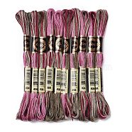 10 Skeins 6-Ply Polyester Embroidery Floss, Cross Stitch Threads, Segment Dyed, Pale Violet Red, 0.5mm, about 8.75 Yards(8m)/skein(OCOR-K006-A77)